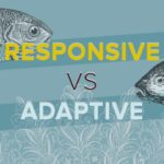 Diseño responsive vs adaptive