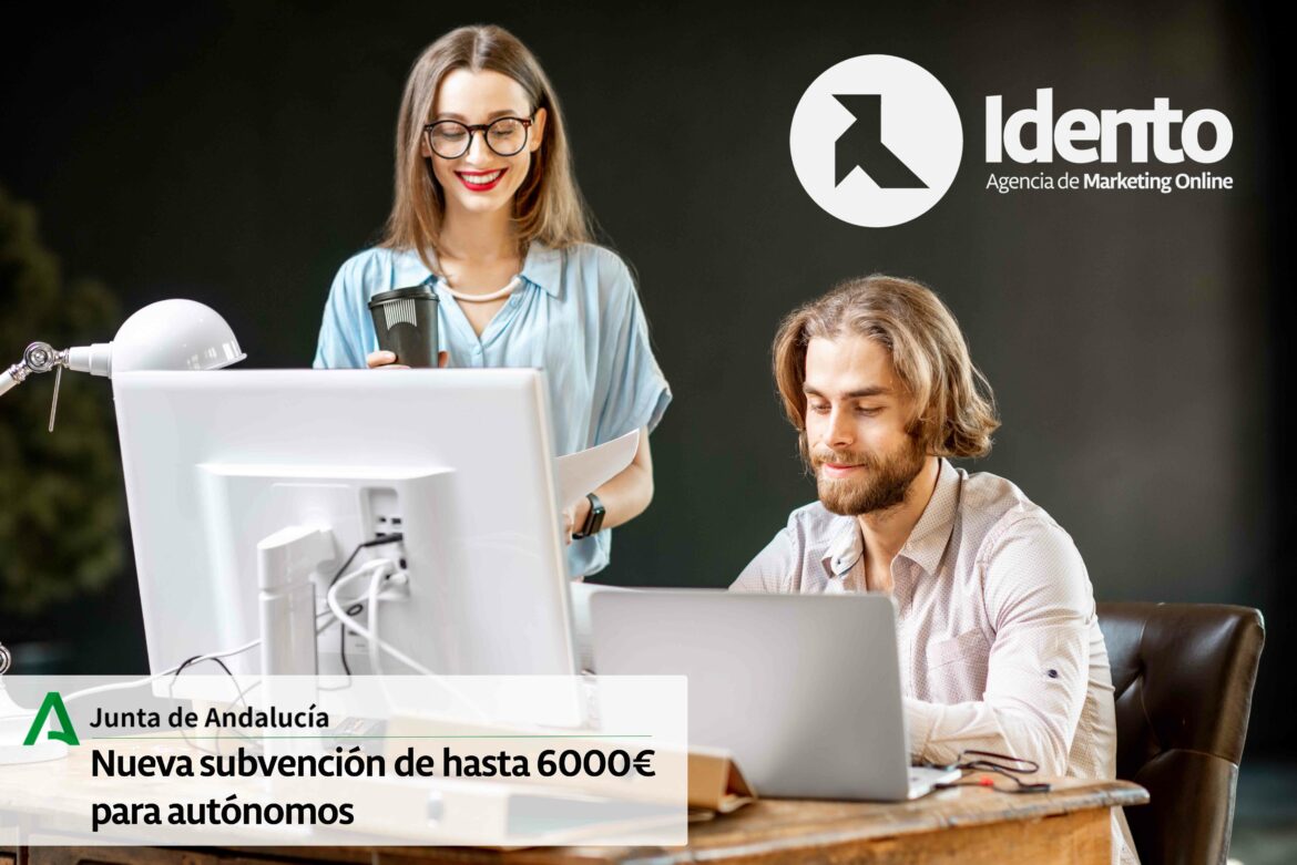 Subvención hasta 6000€. Web y campañas PPC/SEO con Idento